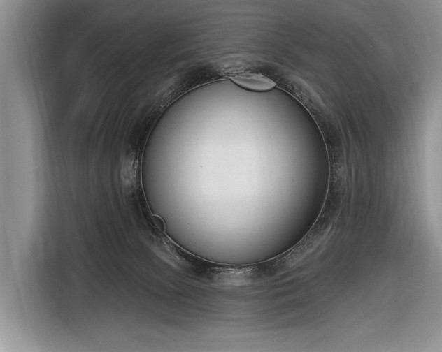 X0000116650081200912211455