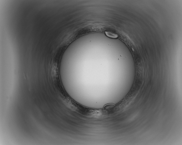 X0000116650083200912211455