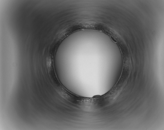 X0000116650084200912211455
