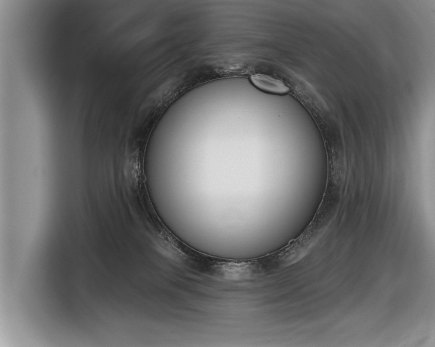 X0000116650085200912211455