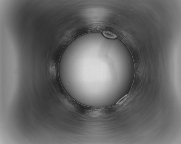 X0000116650086200912211455