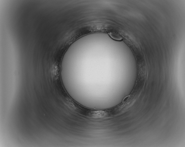 X0000116650087200912211455