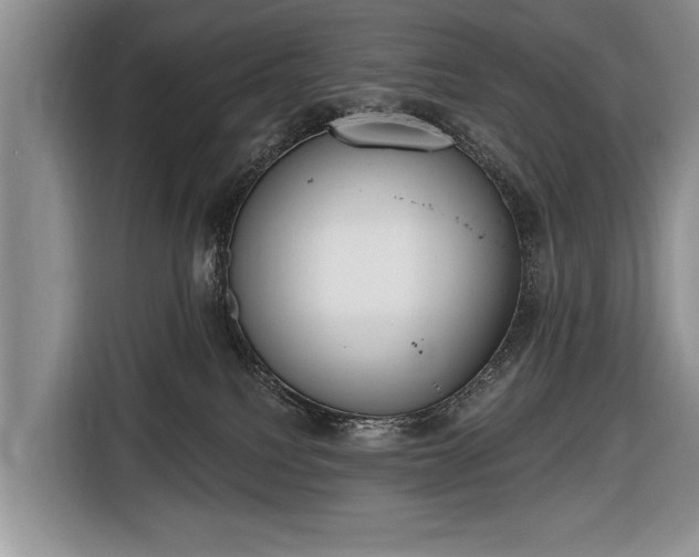 X0000116650088200912211455