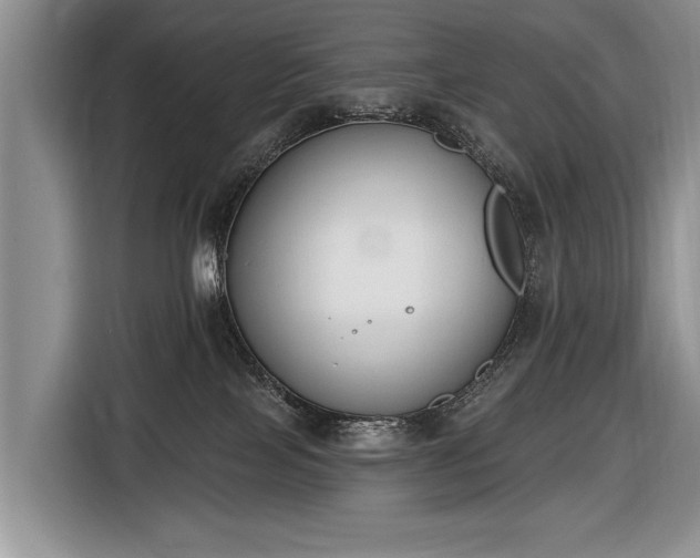 X0000116650089200912211455