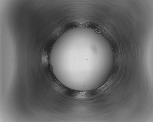 X0000116650090200912211455