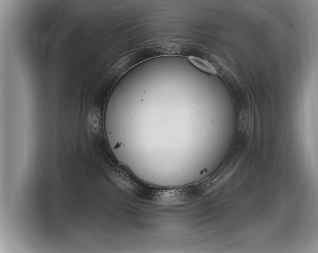 X0000116650092200912211456