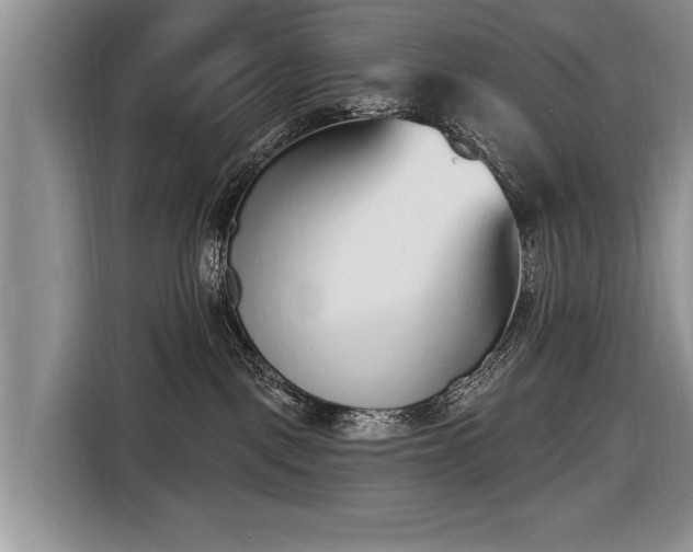 X0000116650093200912211456