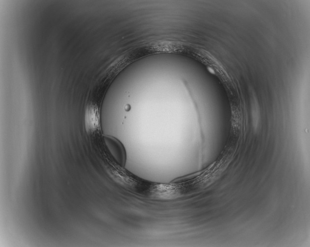 X0000116650095200912211456