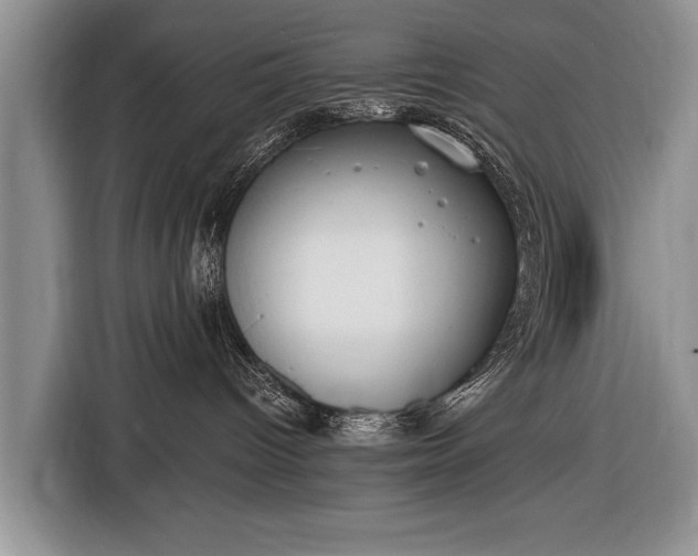 X0000116650096200912211456