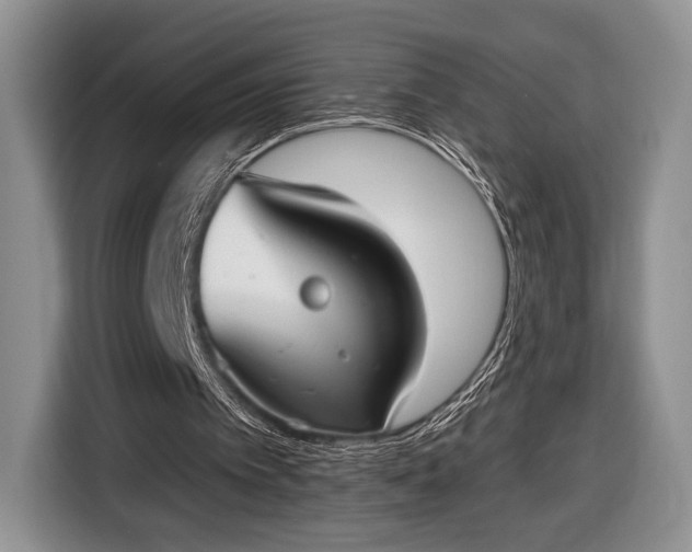 X0000116650097200912211455