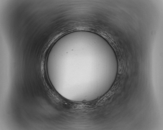 X0000116650098200912211455