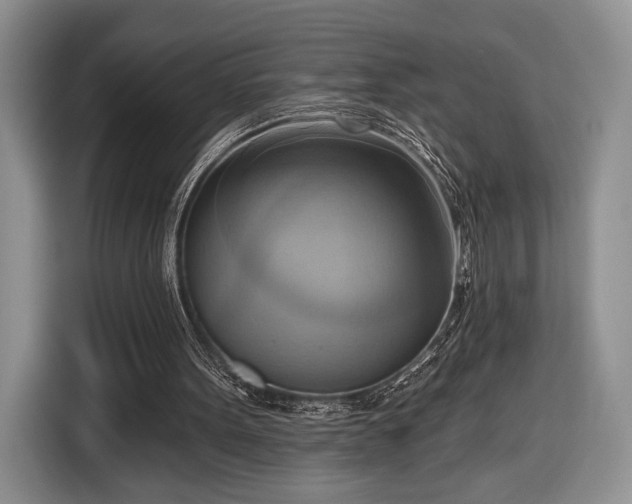X0000116650099200912211455
