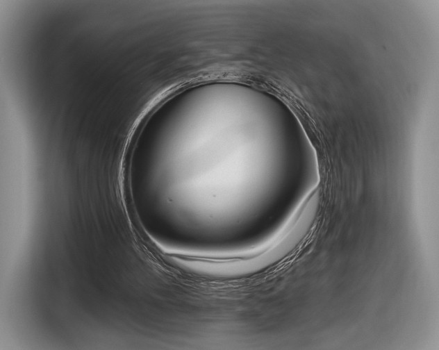 X0000116650100200912211455