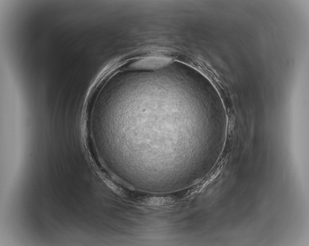 X0000116650101200912211455