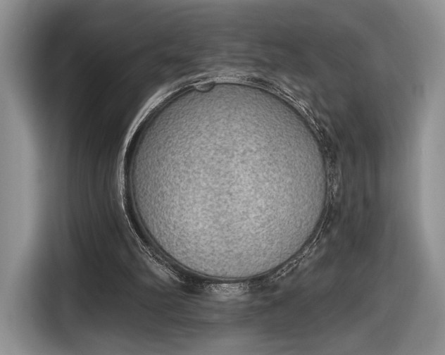 X0000116650102200912211455