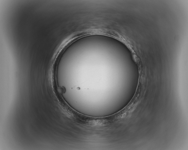 X0000116650103200912211455
