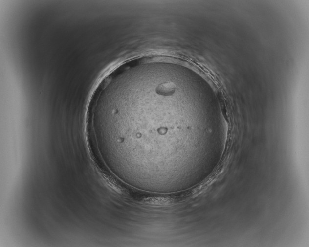 X0000116650104200912211455