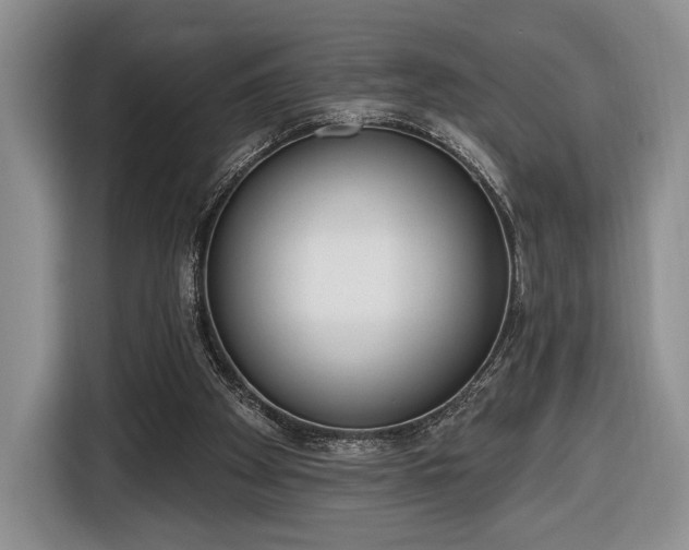 X0000116650105200912211455
