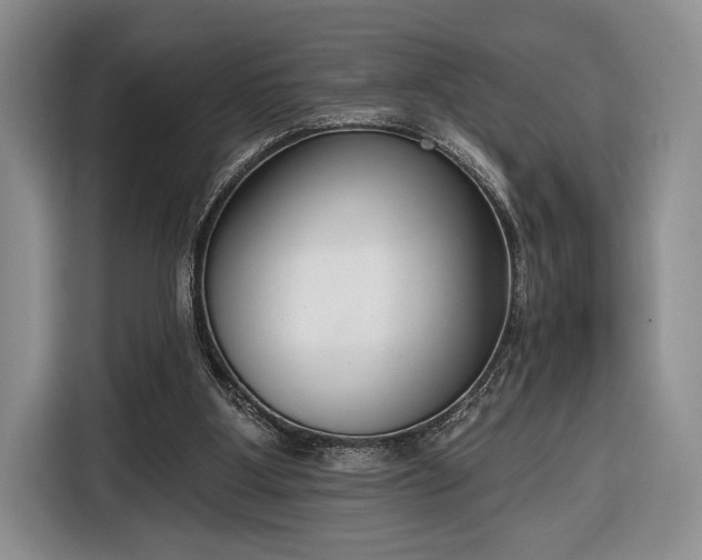 X0000116650107200912211455