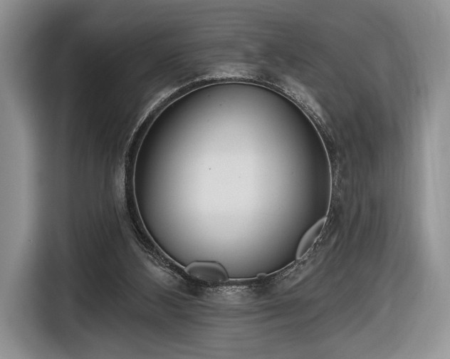 X0000116650108200912211455