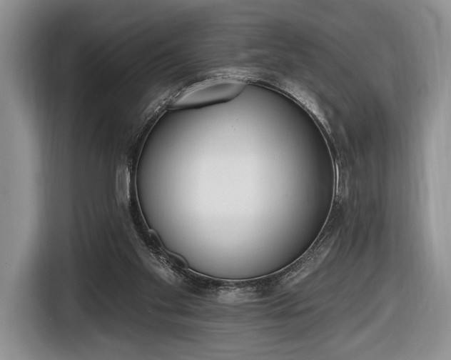 X0000116650109200912211455