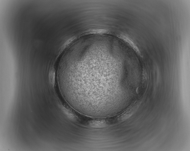 X0000116650110200912211455