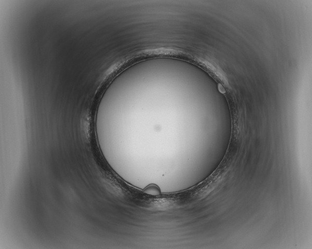 X0000116650111200912211455