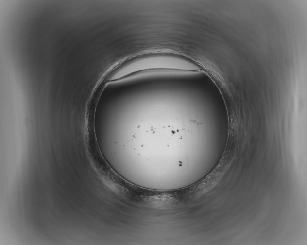 X0000116650112200912211455