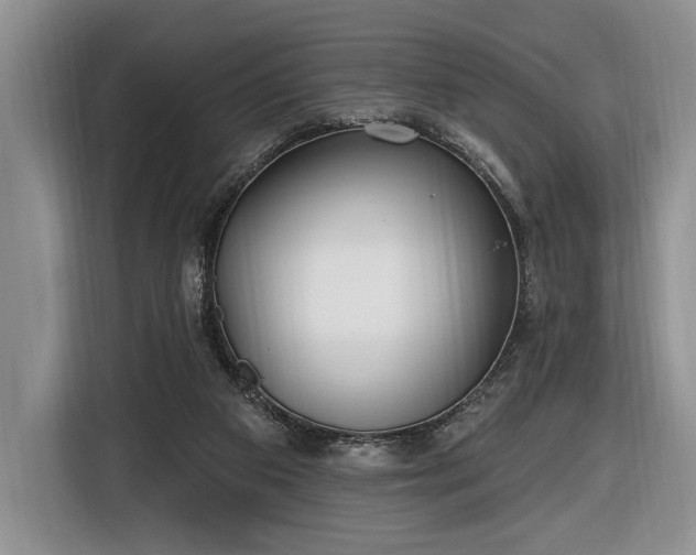 X0000116650113200912211455