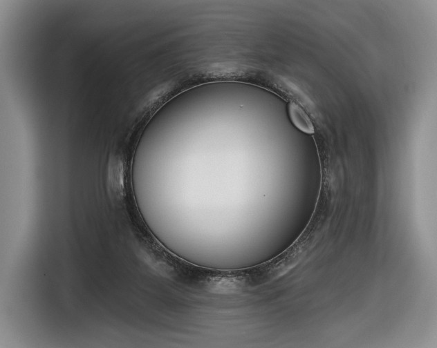X0000116650115200912211455