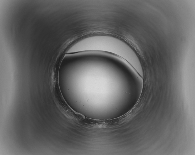X0000116650116200912211455