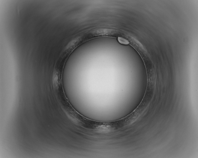 X0000116650119200912211455