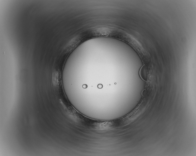 X0000116650122200912211455