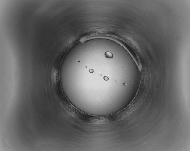 X0000116650123200912211455