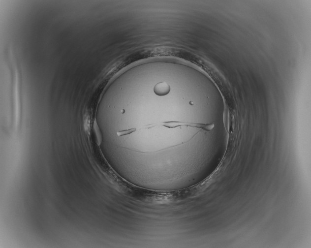 X0000116650124200912211455