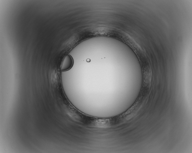 X0000116650126200912211455