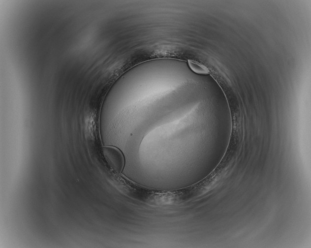 X0000116650127200912211455