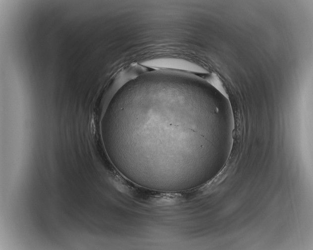 X0000116650128200912211455