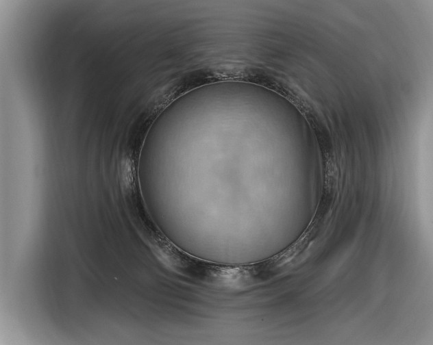 X0000116650130200912211455