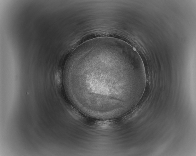 X0000116650131200912211455