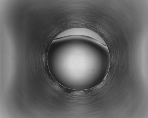 X0000116650132200912211455