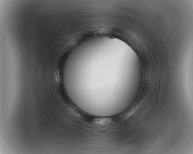 X0000116650135200912211454