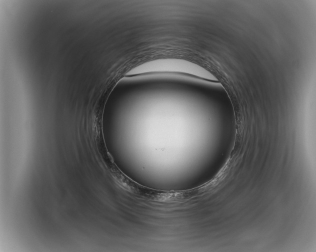 X0000116650136200912211454