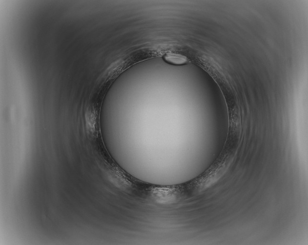 X0000116650139200912211454