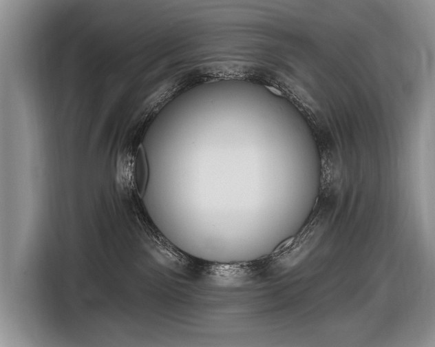 X0000116650141200912211454