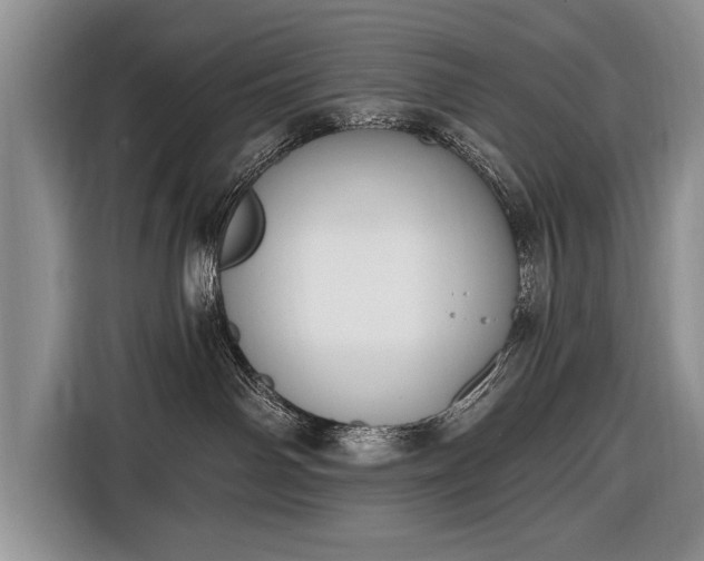 X0000116650142200912211454