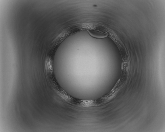 X0000116650143200912211454