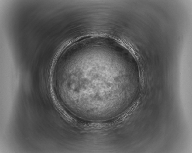 X0000116650145200912211454
