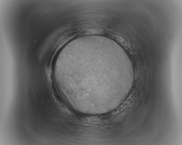 X0000116650146200912211454