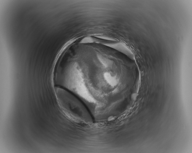 X0000116650147200912211454